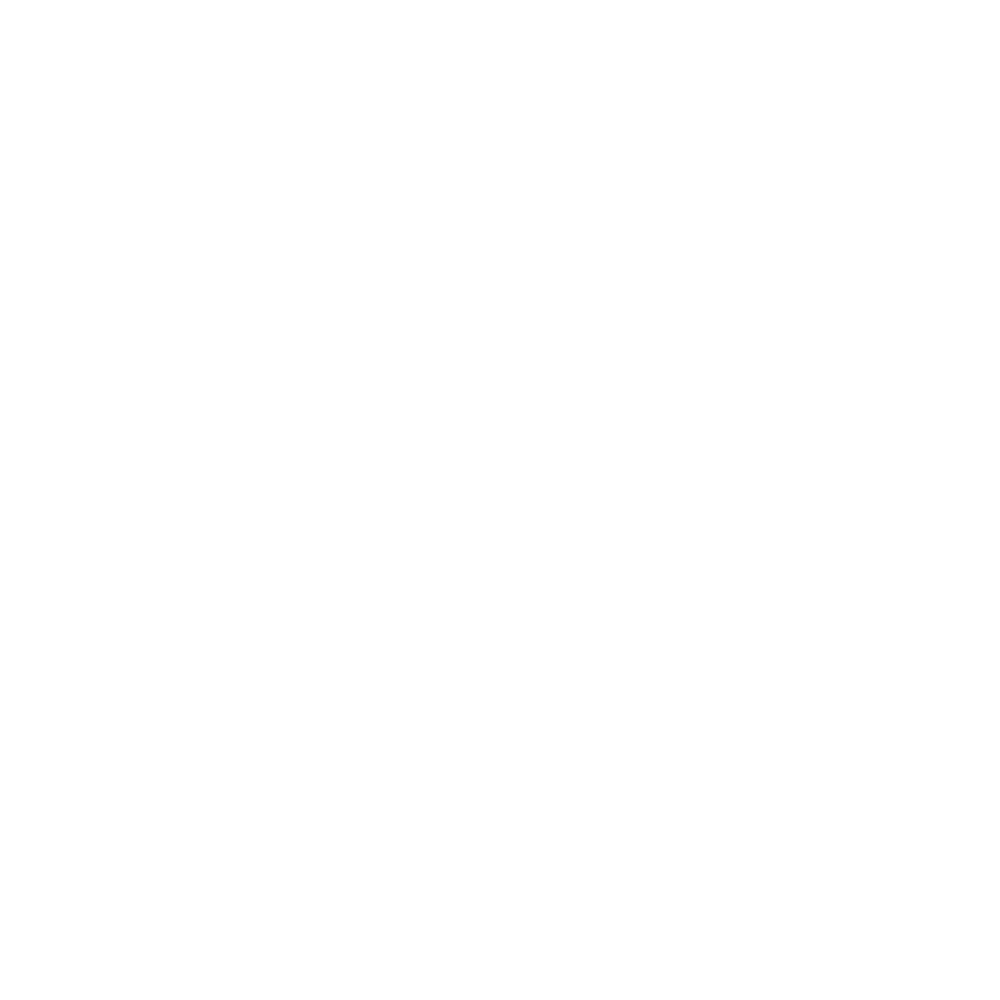 Ex Vivo Studios