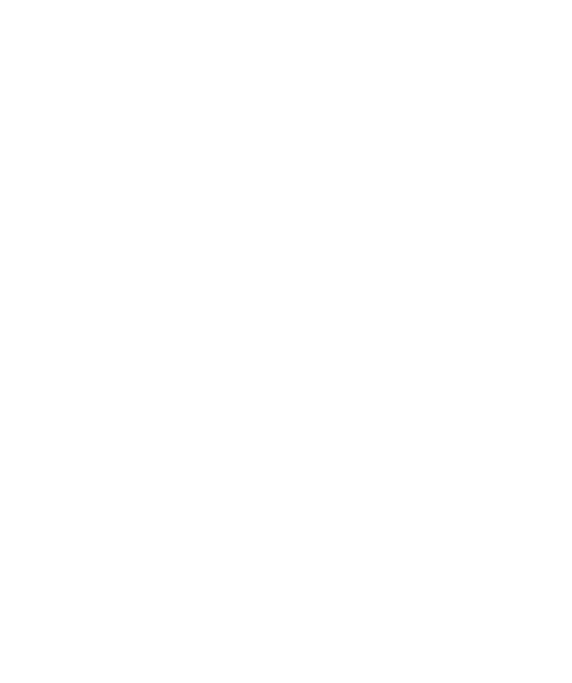 Lion Shield