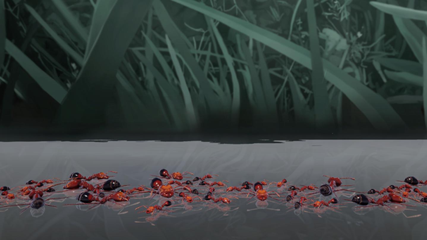 Empires of the Undergrowth