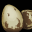 Icon Resource Eggs.png