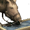 Mules.png