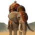 UNIT AFRICAN ELEPHANT.png