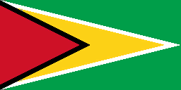 File:Flag Guyana.png