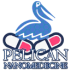 Org Pelican Nanomedecine.png