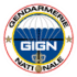 Org GIGN.png
